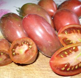 Tomate Dwarf Almandine :