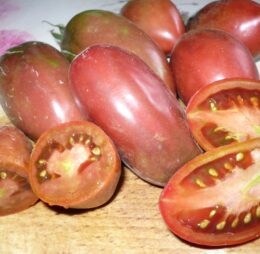 Tomate Dwarf Almandine :