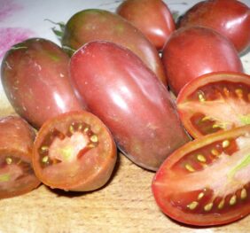 Tomate Dwarf Almandine :