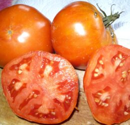 Tomate Amana Orange :