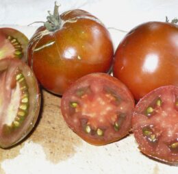 Tomate Black YumYum :