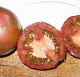 Tomate Brown Flesh :