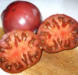 Tomate Cuban Black :