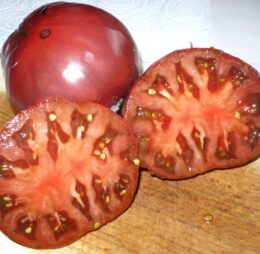 Tomate Cuban Black :