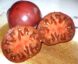 Tomate Cuban Black :