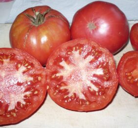 Tomate El Amar :