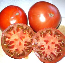 Tomate German Giant :