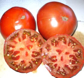 Tomate German Giant :