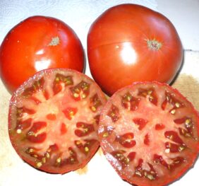 Tomate German Giant :