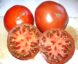 Tomate German Giant :