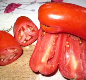 Tomate Longue Granger :