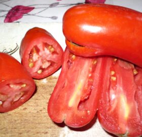 Tomate Longue Granger :