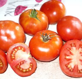 Tomate Platense :