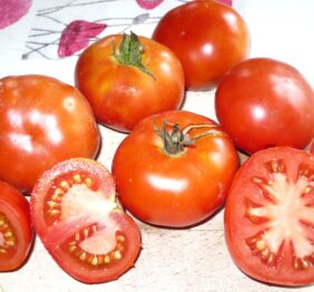 Tomate Platense :