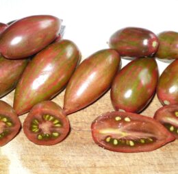 Tomate Purple Smaragd :