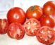 Tomate Ronde Hâtive de Sévigné :