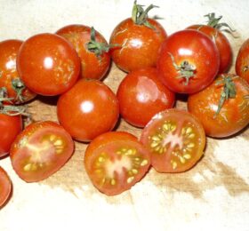 Tomate Cerise Zuckertraube :