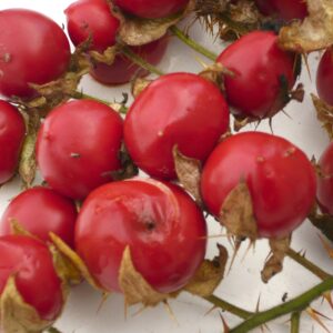 Petit fruit et Divers