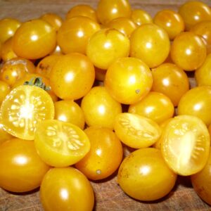Tomate Clémentine