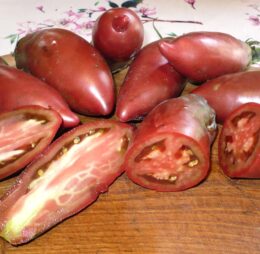 Tomate Cornu des Andes Noire :