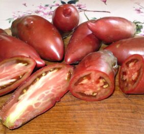 Tomate Cornu des Andes Noire :