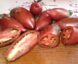 Tomate Cornu des Andes Noire :