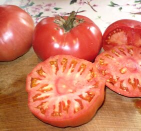 Tomate Très Cantos Gigante Rosa :