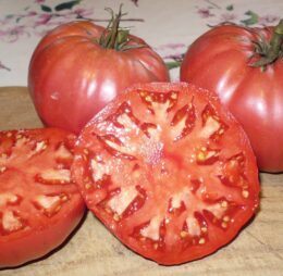 Tomate Morado Aretxabaleta: