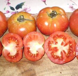 Tomate Montserrat :