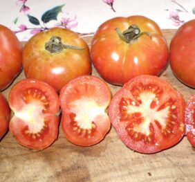 Tomate Montserrat :