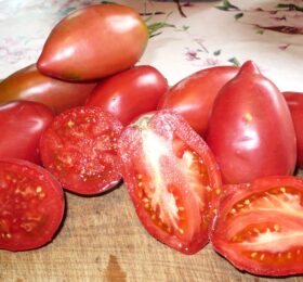 Tomate Rose d’Espelette :
