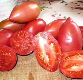 Tomate Rose d’Espelette :