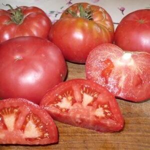 Tomate MASHA I MEDVED « MACHA ET L’OURS » :