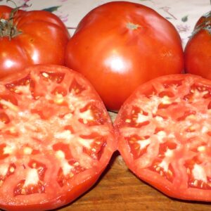 Tomate Auch :
