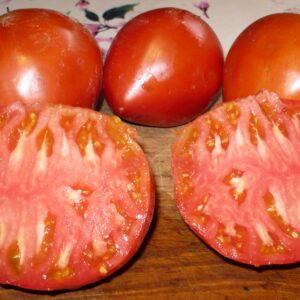 Tomate Rouge de Pessac :