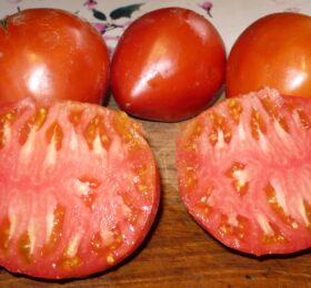 Tomate Rouge de Pessac :