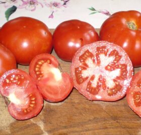 Tomate grosse hâtive d’Orléans :