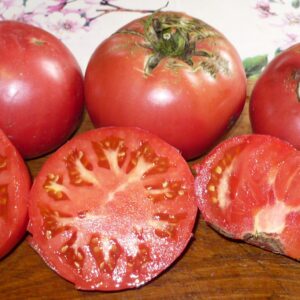 Tomate Avoa de Osedo :