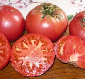 Tomate Avoa de Osedo :
