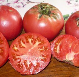 Tomate Avoa de Osedo :