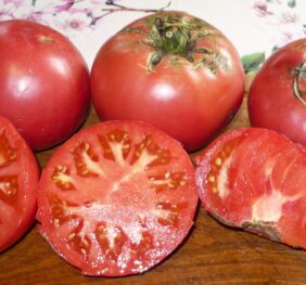 Tomate Avoa de Osedo :