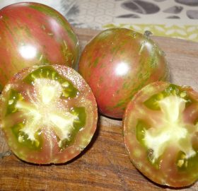 Tomate Cassio :