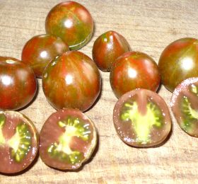 Tomate Dark Stripe Micro: