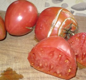 Tomate Dinner Plate:
