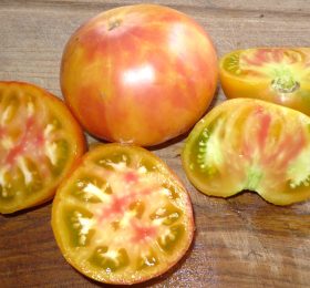 Tomate Multicolor :