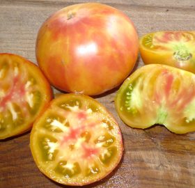 Tomate Multicolor :