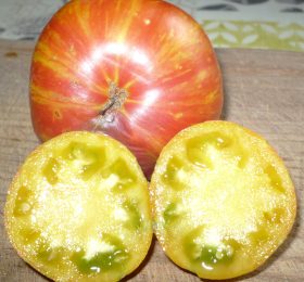 Tomate Orange Zébra: