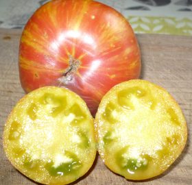 Tomate Orange Zébra: