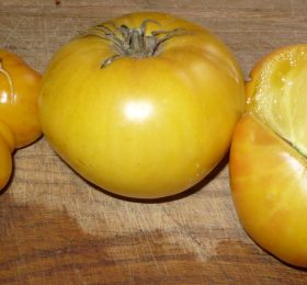 Tomate Rose Beauty: