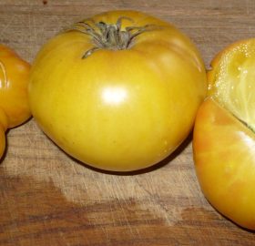 Tomate Rose Beauty: